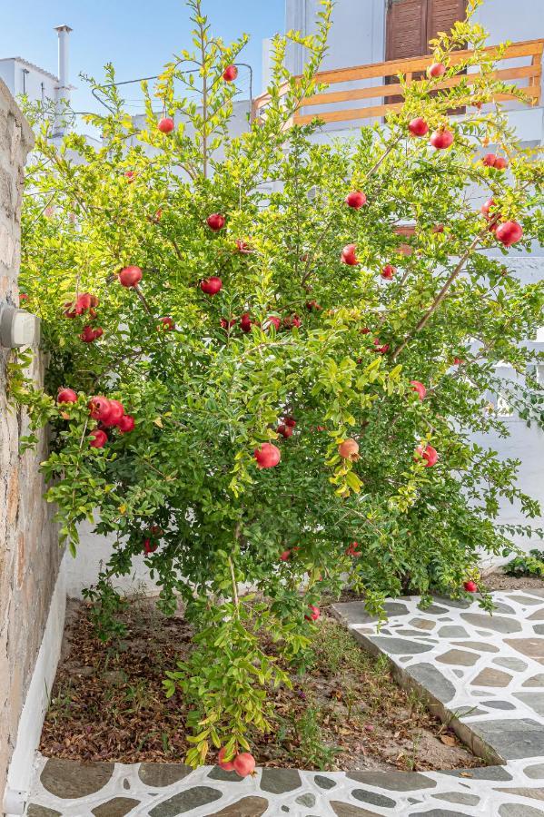 Filoxenia Apartments Adamantas  Exterior photo